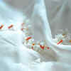 Navratri Day 6 rituals