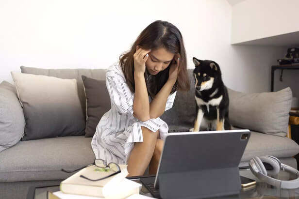 Dog sensing owners stress.