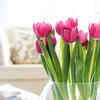 Tulips: A Toxic Plant for Cats