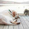 moment of peace