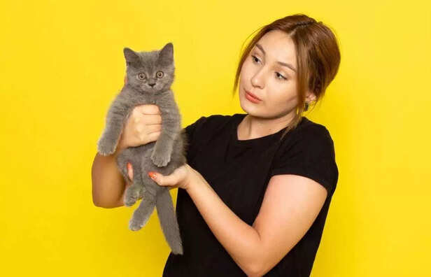 Being held the wrong way can make your cat  feel unsafe and stressed