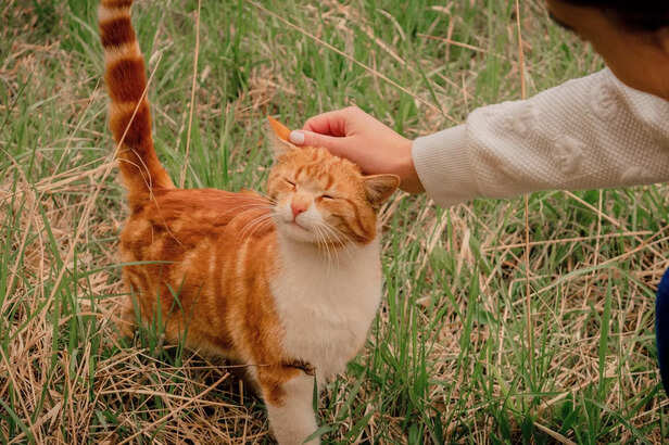 Kindness