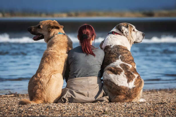 Friends