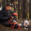 Hydrating Dog on Hiking Trail