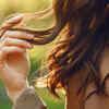 Hair Moisture