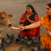 Chhath Puja