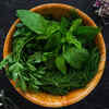 Tulsi