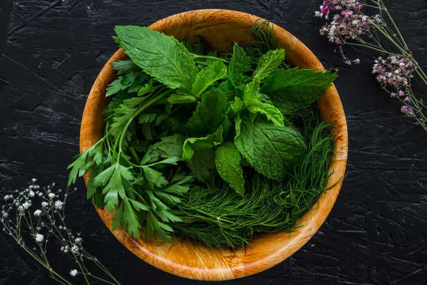 Tulsi