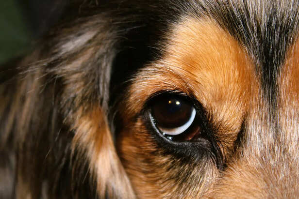 teary eyes