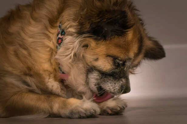 little tear big heart