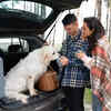 The Perfect End to Your Road Trip with Your Dog