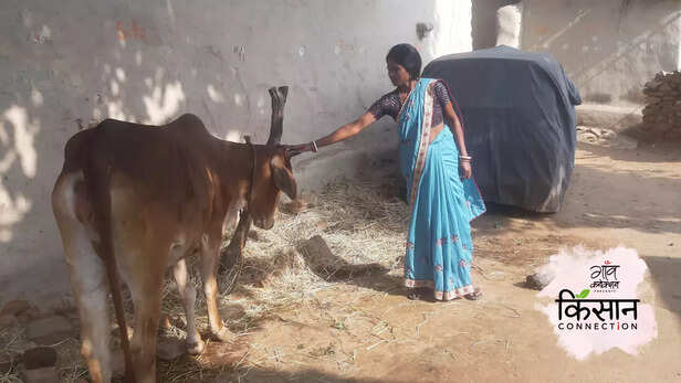 364374-women-farmer-ramgarh-jharkhand-positive-success-story-farming-technology-self-help-group-2