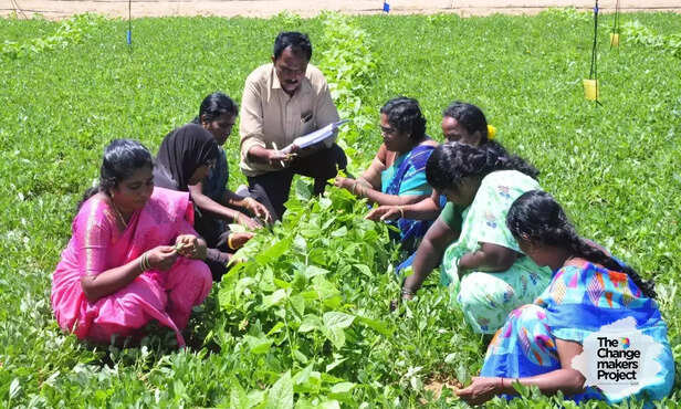 368611-natural-farming-andhra-pradesh-agriculture-small-land-holding-multiple-crops-3
