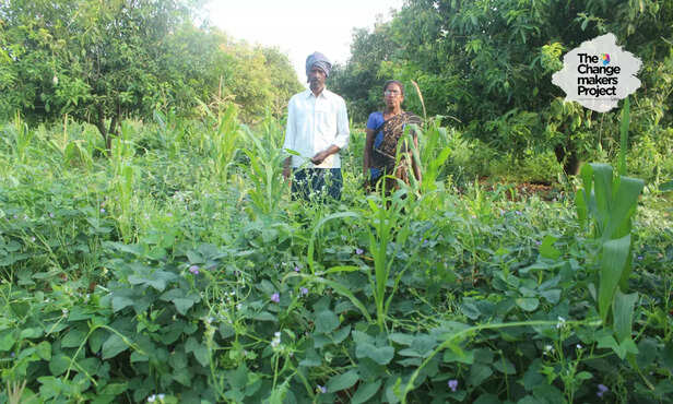 368613-natural-farming-andhra-pradesh-agriculture-small-land-holding-multiple-crops-5