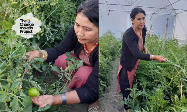 368557-hero-image-2023-10-19t105202737