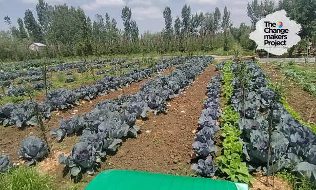 368065-integrated-farming-system-syeda-shazia-lateef-jammu-kashmir-poultry-dairy-exotic-vegetables-farming-5