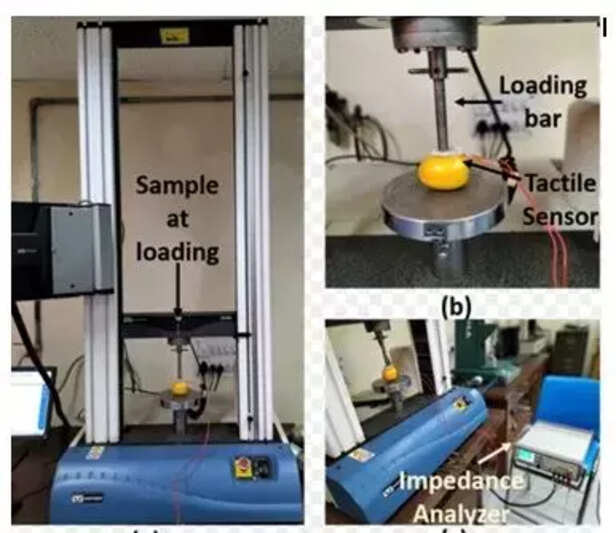364381-it-jodhpur-sensor-fruit-ripeness-sensitive-tactile-pressure-sensor-robotic-system-1