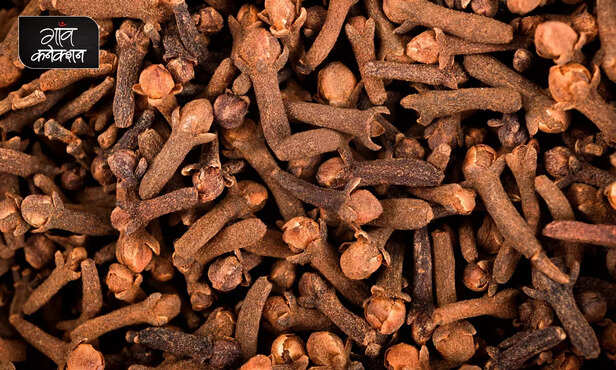 362588-clove-beneficial-cholesterol-diabetes-metabolic-disorders-cardiovascular-diseases-diabetes-glutathione-antioxidant-3
