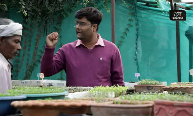 369719-plant-nursery-business-ideas-start-organic-vegetable-and-herb-nursery-2