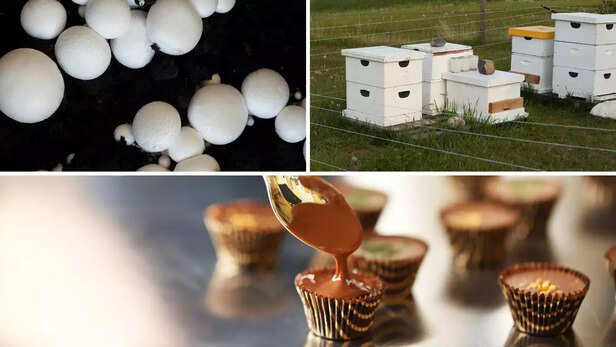 366971-gaon-moment-2