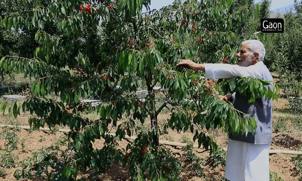 363737-untitled-design-94