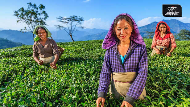 364947-national-pension-scheme-registration-process-apply-online-nps-registration-4