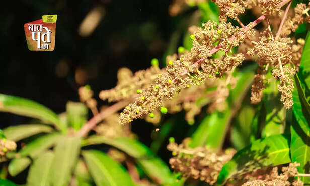 370285-hero-image-58