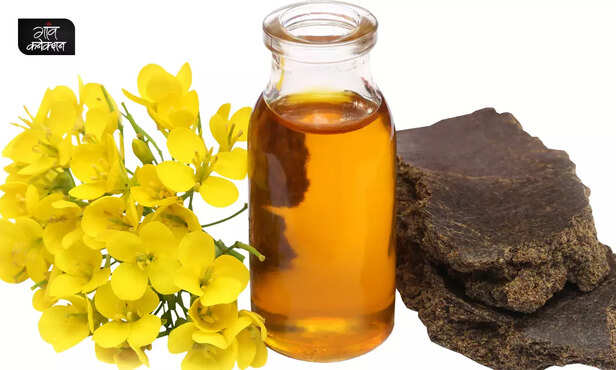 369901-mustard-oil-ban-united-states-of-america-external-use-only-explanation-food-and-drug-administration-3