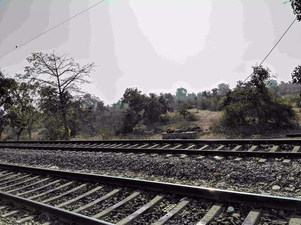 352314-img20190213094751-scaled