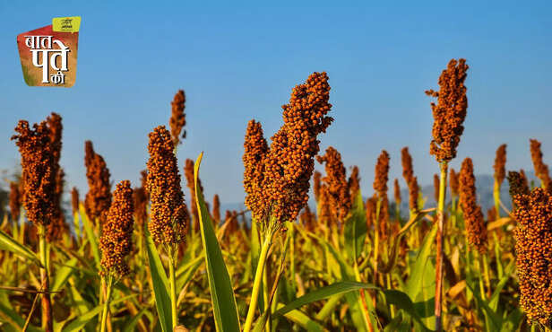 366180-millets-health-benefits-finger-millet-pearl-millet-hair-fall-solution-heart-disease-2