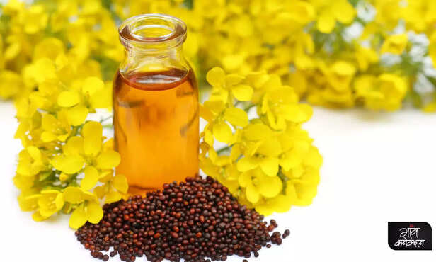 369259-cold-pressed-oil-benefits-mustard-oil-kachi-ghani-sarson-tel-2