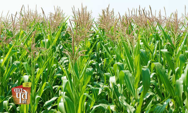 369250-hero-image-13