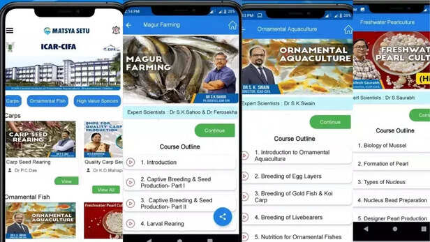 361090-matsya-setu-mobile-app-fish-farmers-cifa-bhubaneswar-orissa-market