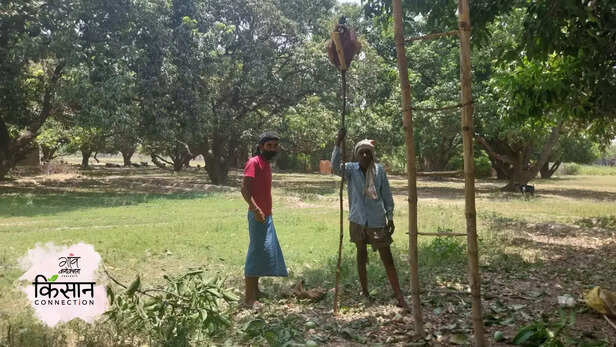 365961-gaon-moment-5gaon-moment-1