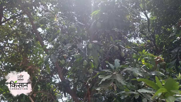 365963-gaon-moment-3gaon-moment-1