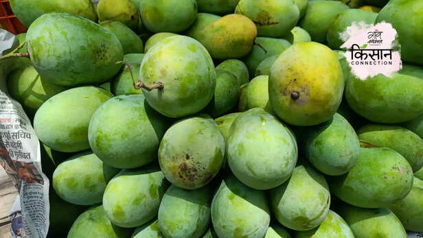 365964-gaon-moment-2gaon-moment-1