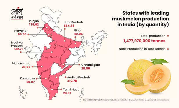 365597-whatsapp-image-2023-05-26-at-162517