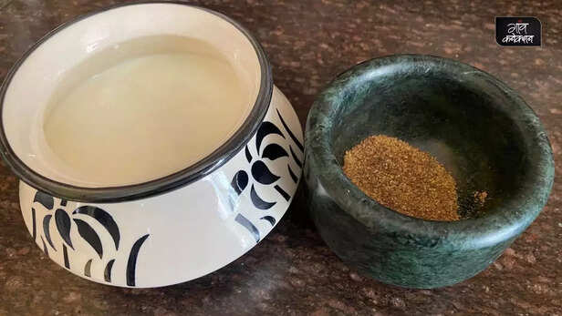 359186-jammu-summer-dish-recipe-dogra-auraiya-posto-curd-traditional-probiotic-health-heat-wave-1