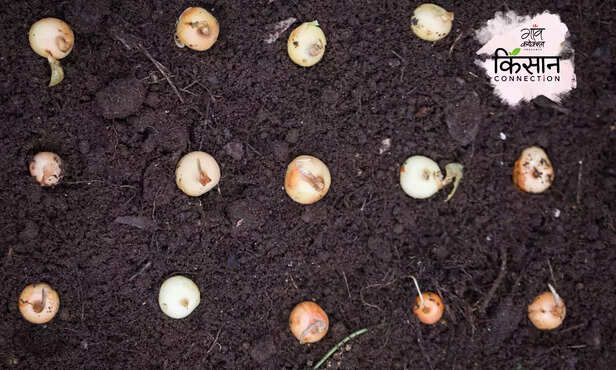 364168-hero-image-70