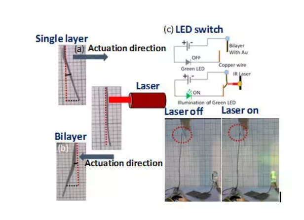 354953-waste-onion-peels-porous-carbon-nanoparticles-soft-actuators-cens-bangalore-1