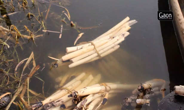 363668-untitled-design-77