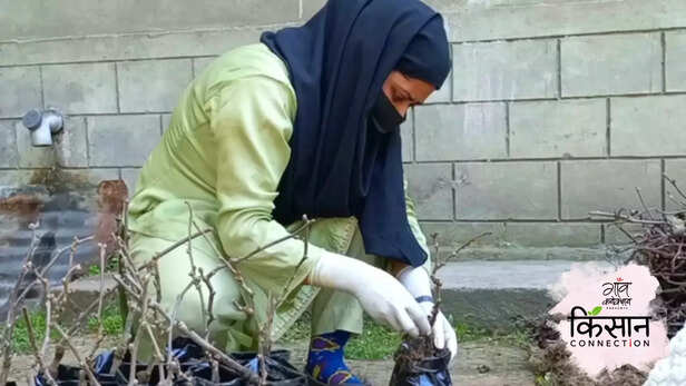 365226-gaon-moment-26