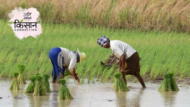 363785-gaon-moment-2023-02-24t151739659