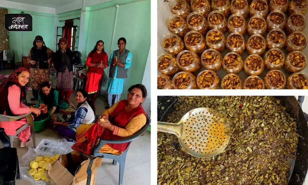 369046-himachal-pradesh-women-self-help-groups-business-kotgarh-valley-village-organisation-4