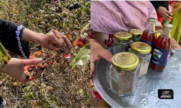 369211-jammu-kashmir-women-empowerment-fruit-jam-making-rural-india-employment-opportunities-3