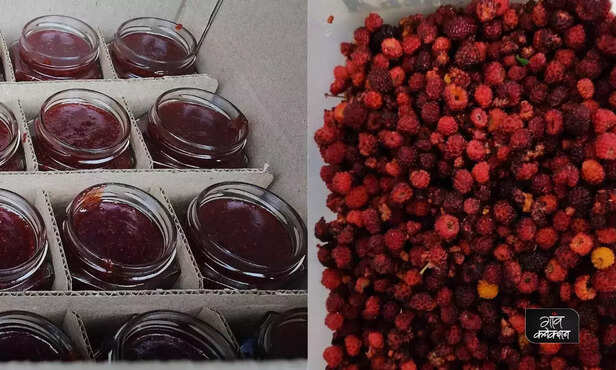 369212-jammu-kashmir-women-empowerment-fruit-jam-making-rural-india-employment-opportunities-2