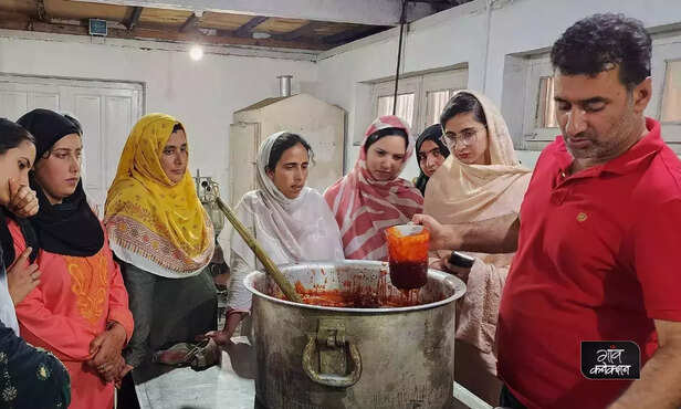 369213-jammu-kashmir-women-empowerment-fruit-jam-making-rural-india-employment-opportunities-1