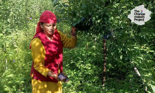 368464-anita-negi-women-farmer-kullu-himachal-pradesh-subhash-palekar-natural-farming-women-empowerment-prakritik-krishi-khushal-kisan-7