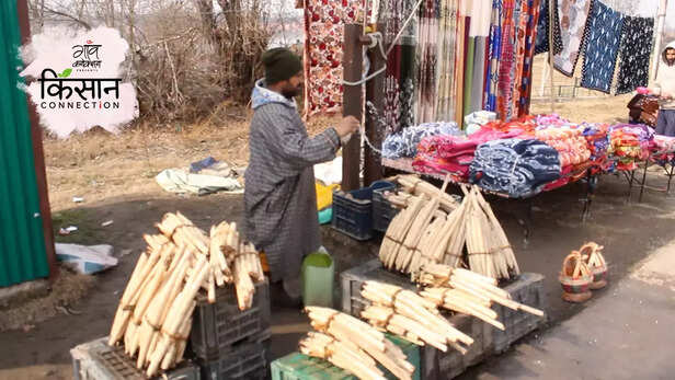 363649-nadru-farming-jammu-kashmir-srinagar-dal-lake-lotus-stem-kamal-nal-farmers-4