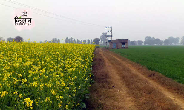 365802-environment-ecology-rural-area-village-farming-pesticide-herbicide-chemical-climate-change-1